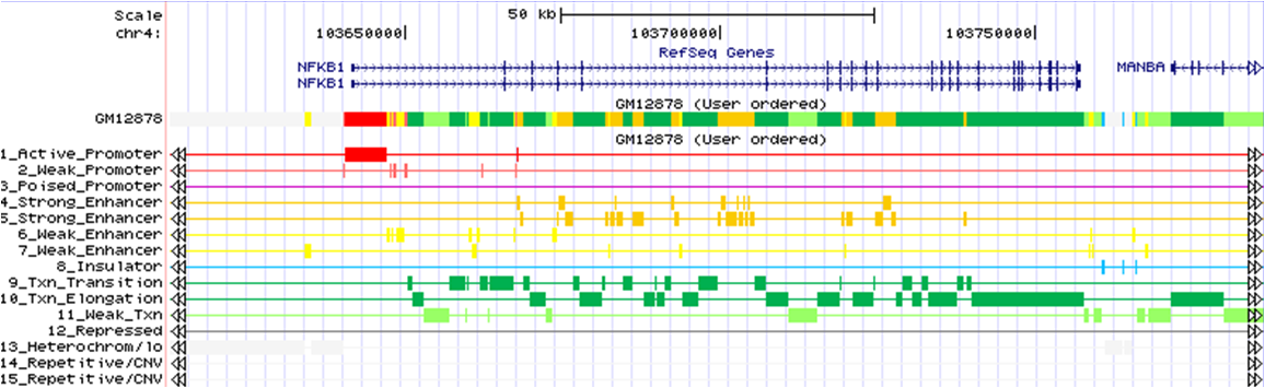 Chromhmm Chromatin State Discovery And Characterization